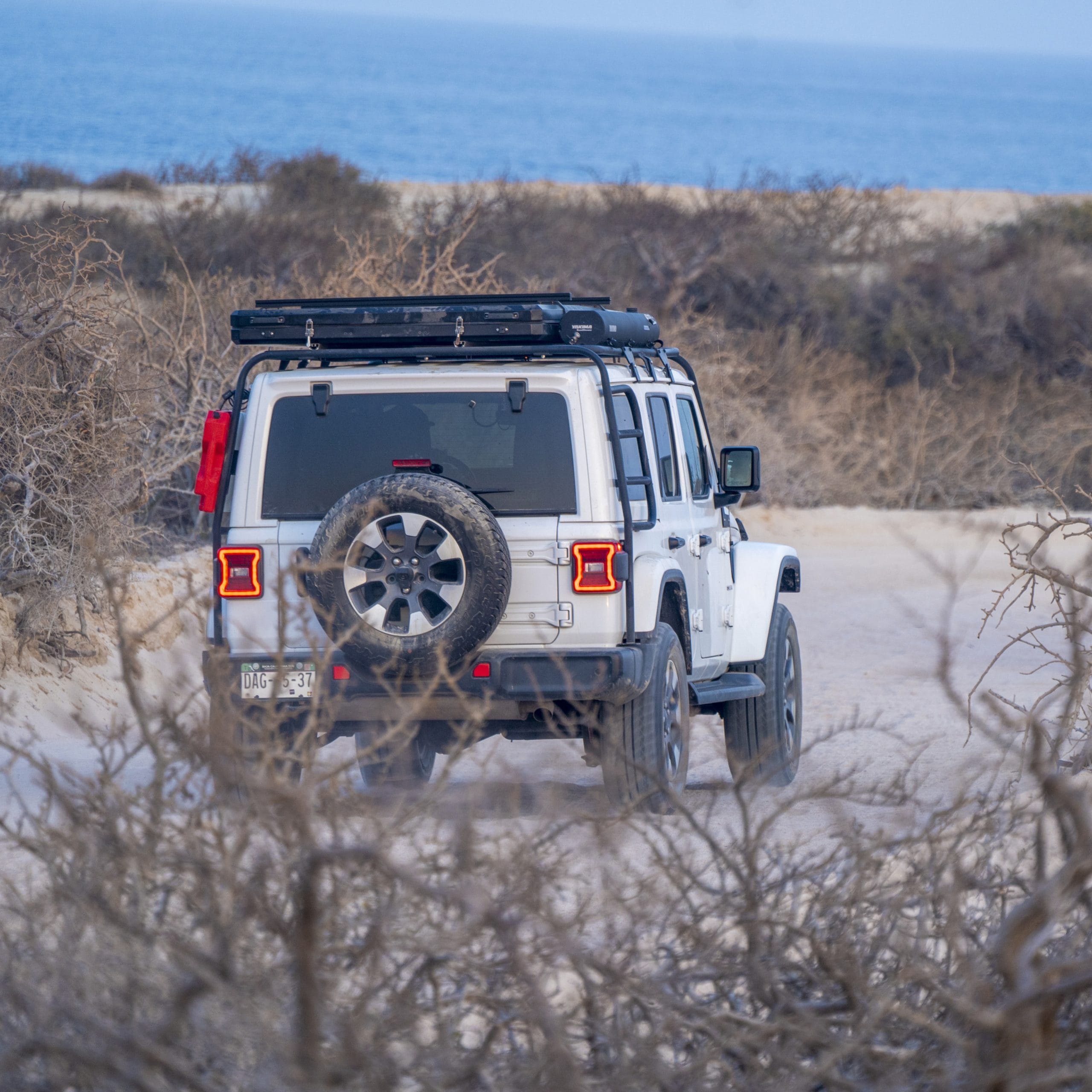  Jeep Wrangler driving on a sandy trail surrounded by desert vegetation near the coast in Baja, perfect for off-road adventures.