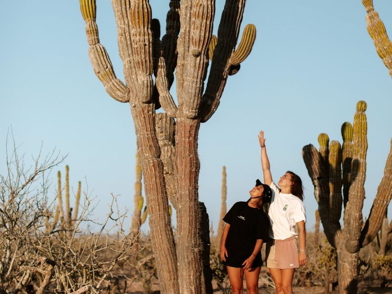 Personas disfrutando una overland expedition en Baja California.