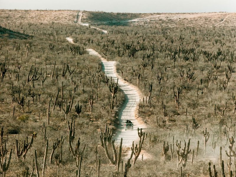 Ejemplo de ruta en Baja California Sur